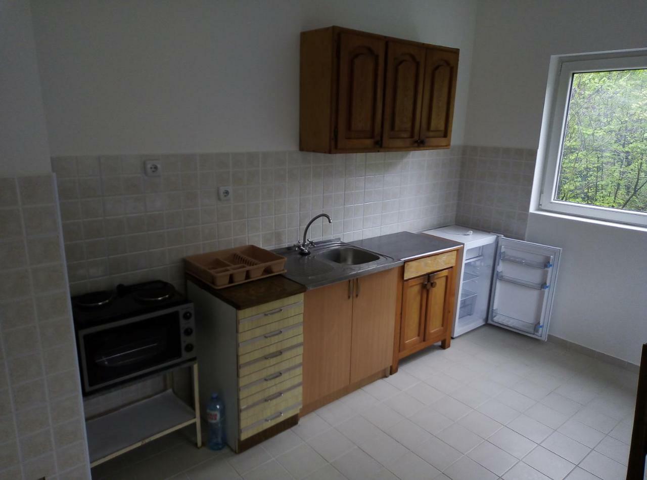 Apartman Miljkovic Аранделовац Экстерьер фото